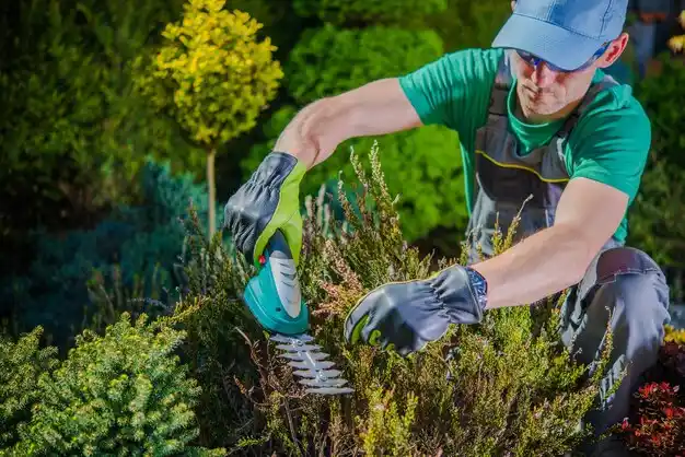landscaping services Dumas